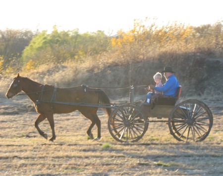 buggy1