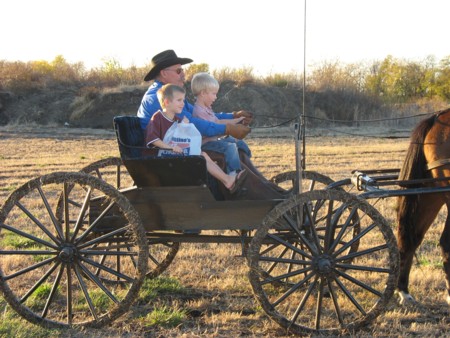 buggy2