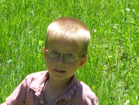 meadow12.jpg