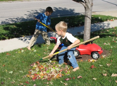 leaves3.jpg