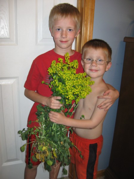bouquet