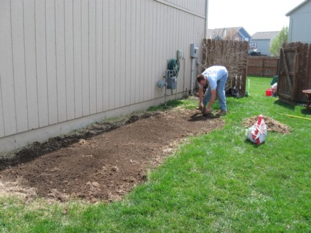 plant1
