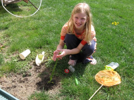 plant3