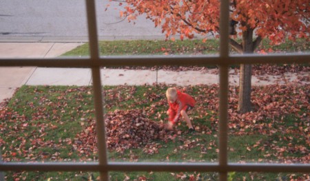 fall1