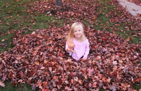fall3