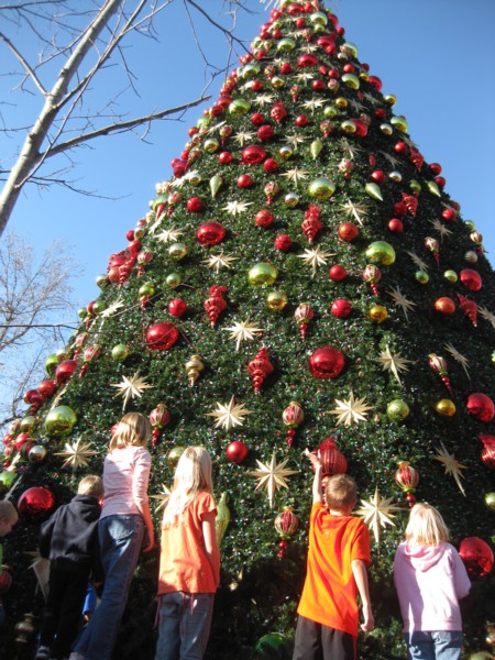 sdc098 sdc098